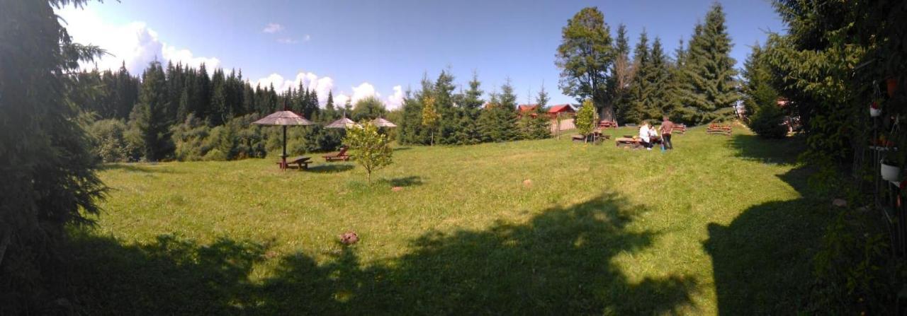 Casa Paltin Vila Si Cabane Poiana Stampei ภายนอก รูปภาพ