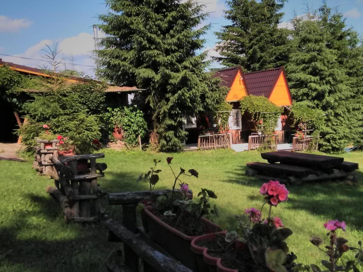 Casa Paltin Vila Si Cabane Poiana Stampei ภายนอก รูปภาพ