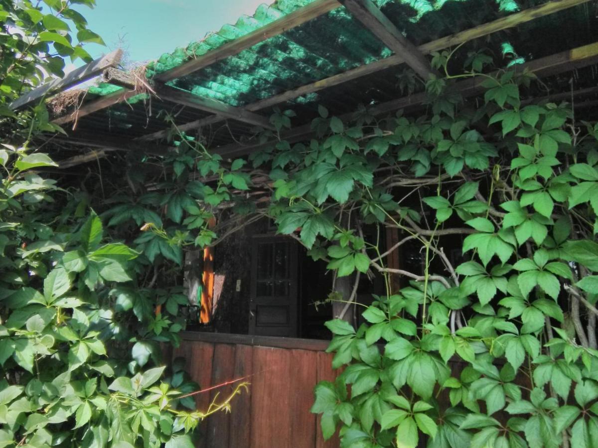 Casa Paltin Vila Si Cabane Poiana Stampei ภายนอก รูปภาพ