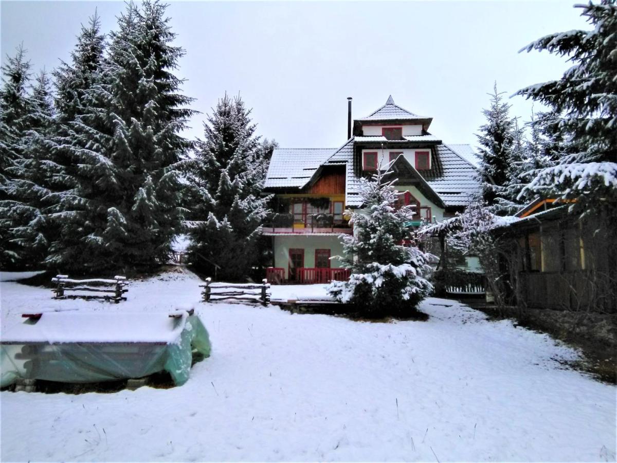 Casa Paltin Vila Si Cabane Poiana Stampei ภายนอก รูปภาพ