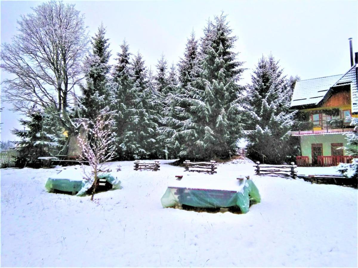 Casa Paltin Vila Si Cabane Poiana Stampei ภายนอก รูปภาพ