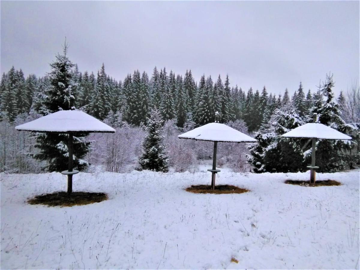 Casa Paltin Vila Si Cabane Poiana Stampei ภายนอก รูปภาพ