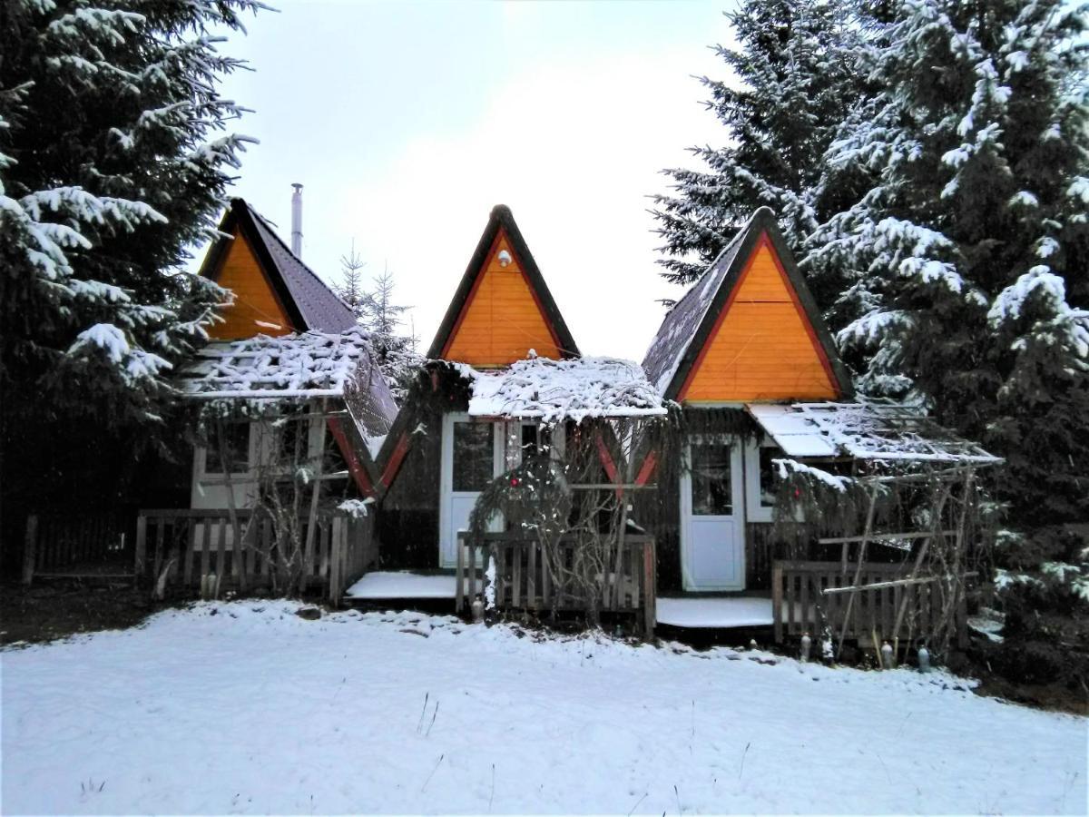 Casa Paltin Vila Si Cabane Poiana Stampei ภายนอก รูปภาพ